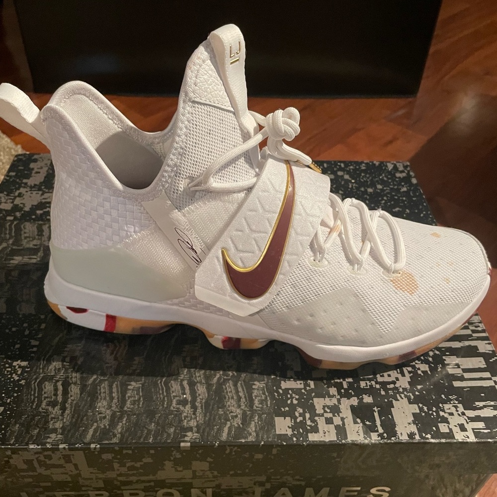 Lebron Nike Collection